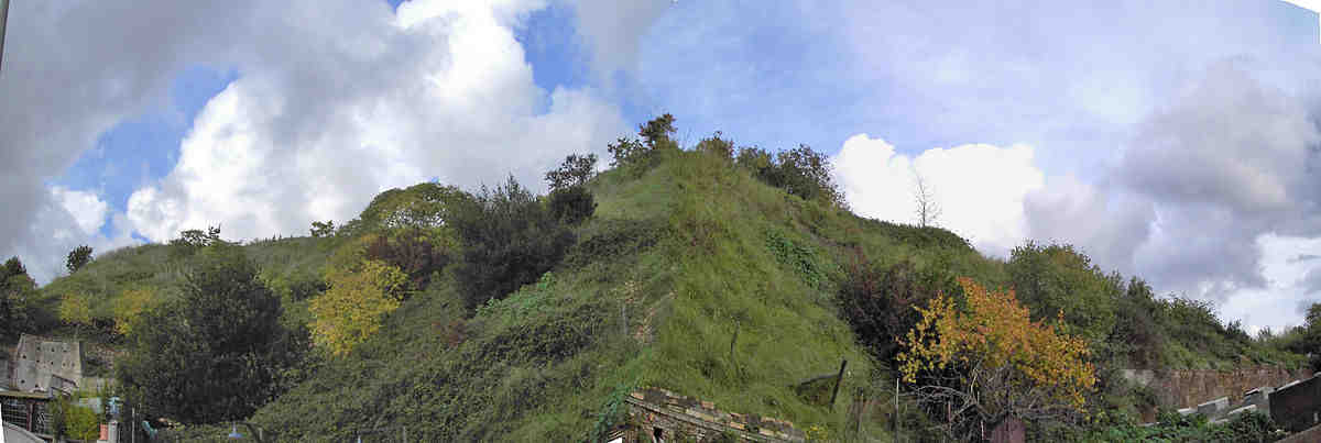 monte, cocci