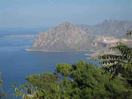 erice